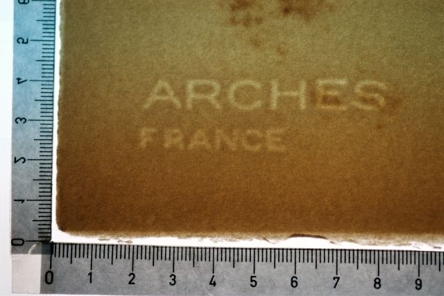 Caballero con casco y mariposas