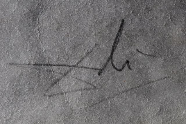 Lilium musicum (Lys)