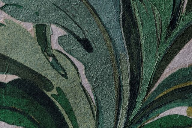 Chrysanthemum frutescens ( Marguerite )