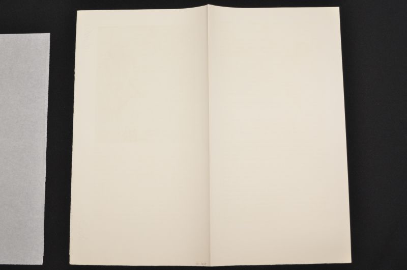 S/T  [Figura amb espasa]