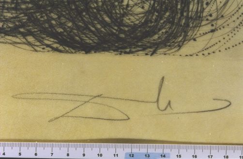 La ville orodante que traverse en silence le cheval aux sabots enveloppés par les dieux ...