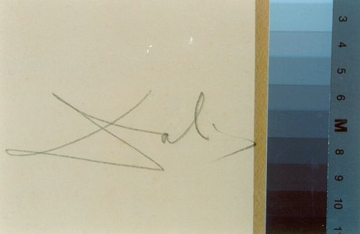 Combat des cavaliers