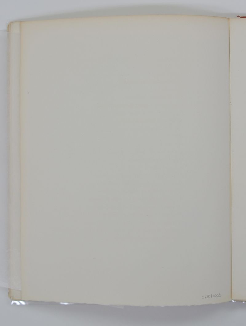 La Chasse aux papillons