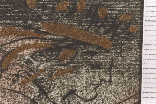 El cisne no está para puñetas