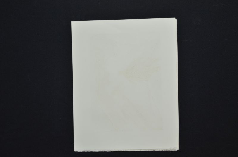 S/T (Rencontre de deux troupes de luxurieux)