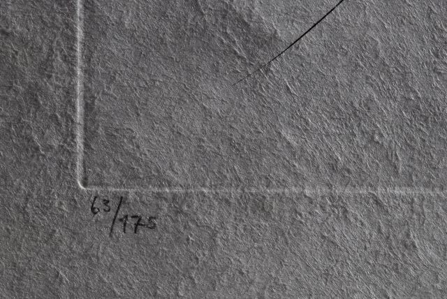 Dahlia Unicornis (Dahlia)