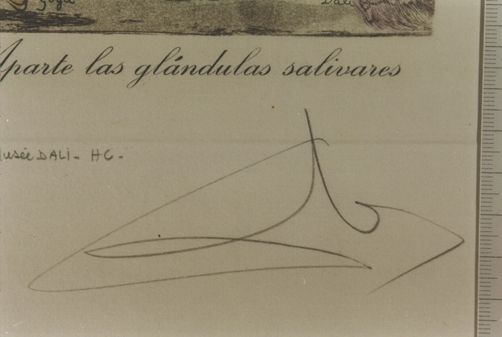 Aparte las glándulas salivares