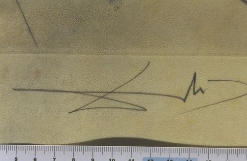 Le soleil couchant allonge le squelette noir d'un grand cheval, très grand ... La tête est sostenue par le fer d'une lance