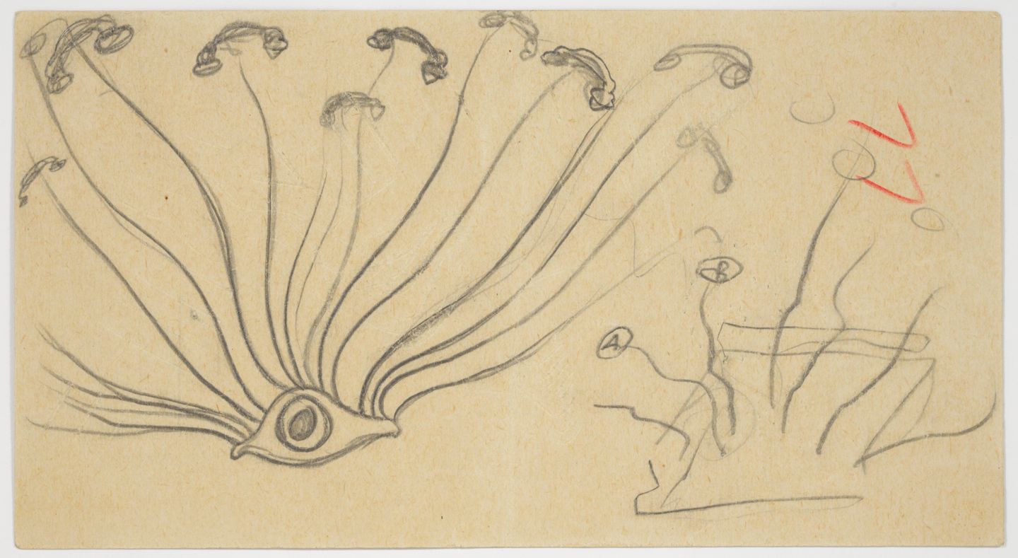 Esbós per al pavelló 