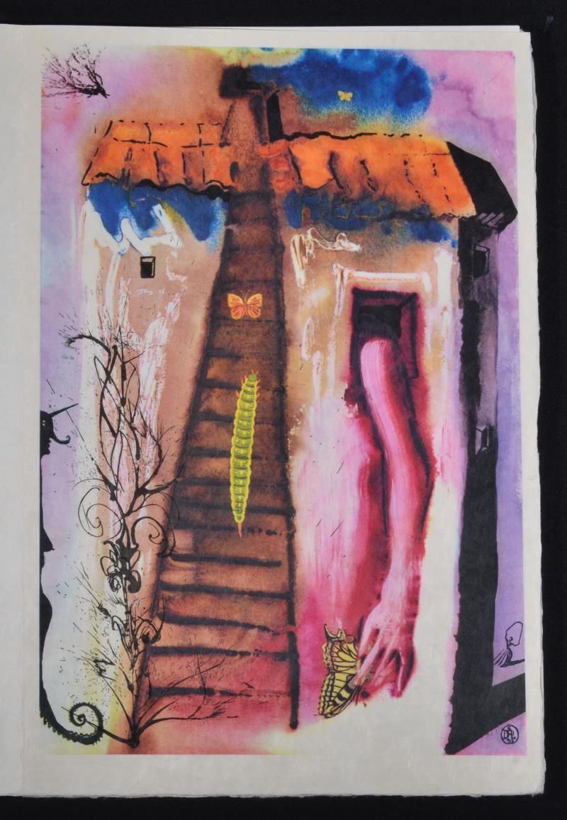 (Suite) The rabbit sends in a little bill