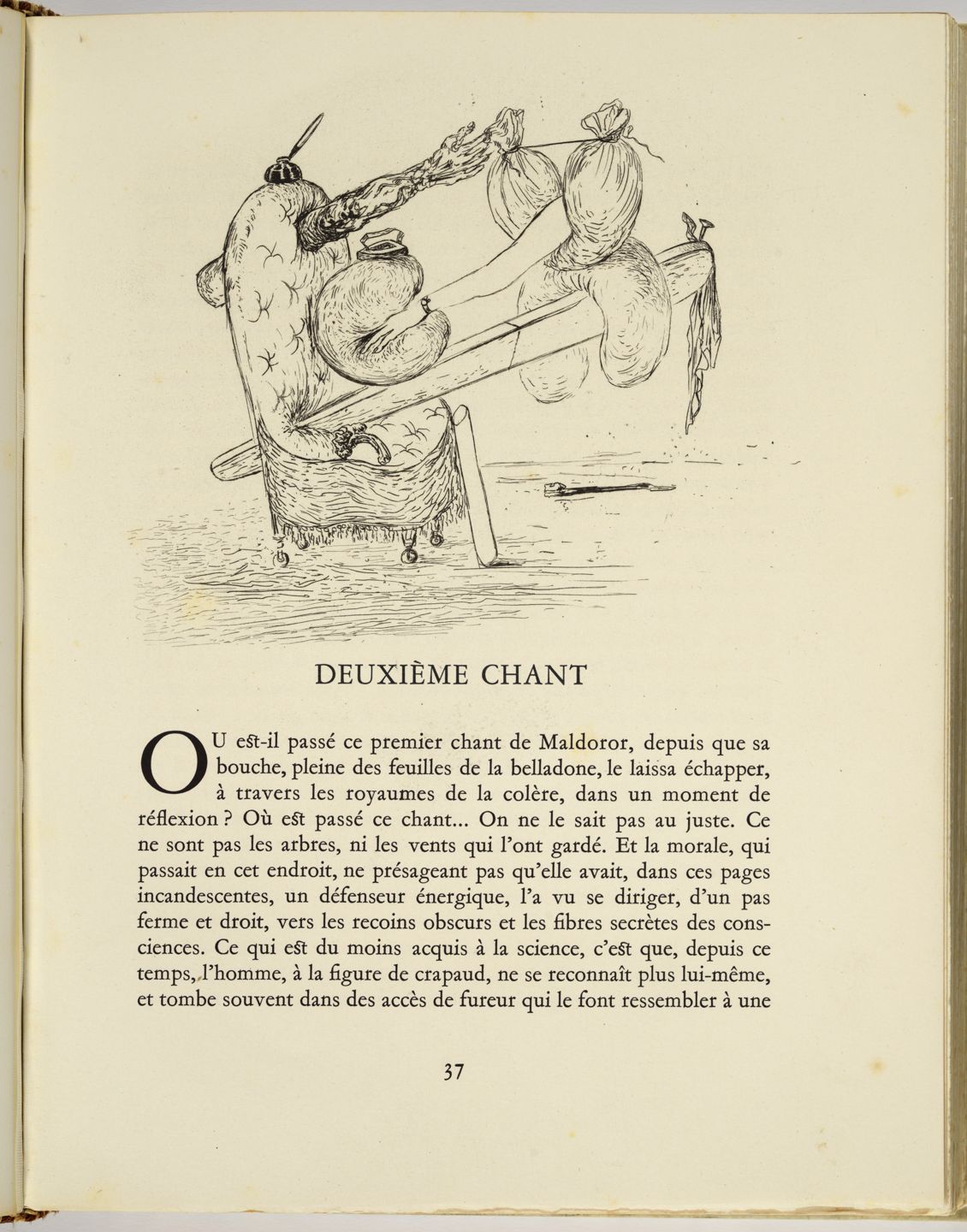 S/T Vinyeta capçalera Segon Cant