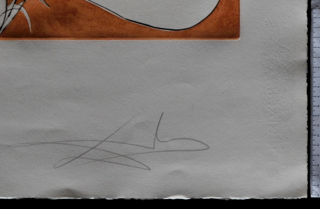 Papillons de l'anti-matière