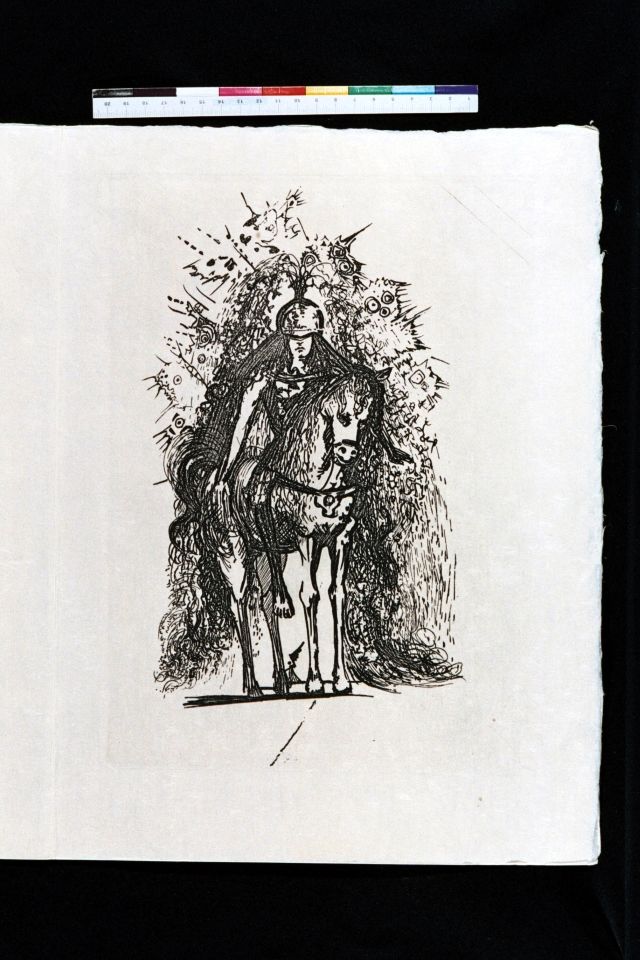 Caballero con casco y mariposas