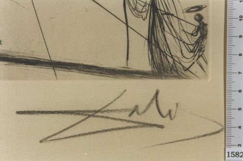 Ull de temps amb raïms d'immortalitat