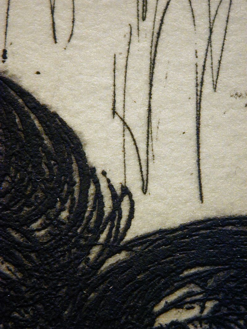 Saint George and the Dragon