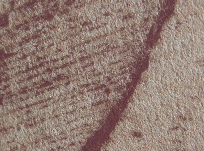 La Madona de Portlligat