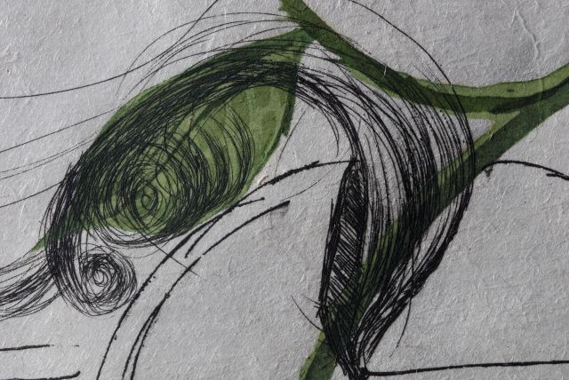 Lilium musicum (Lys)