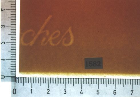 Ull de temps amb raïms d'immortalitat