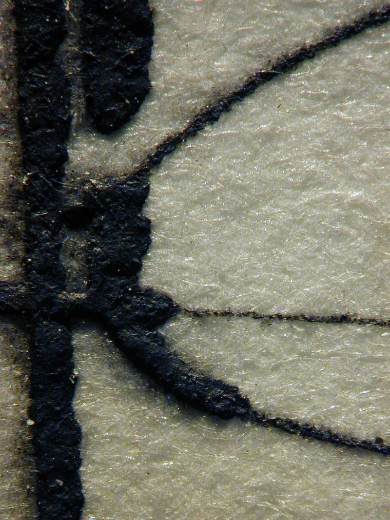 Saint George and the Dragon