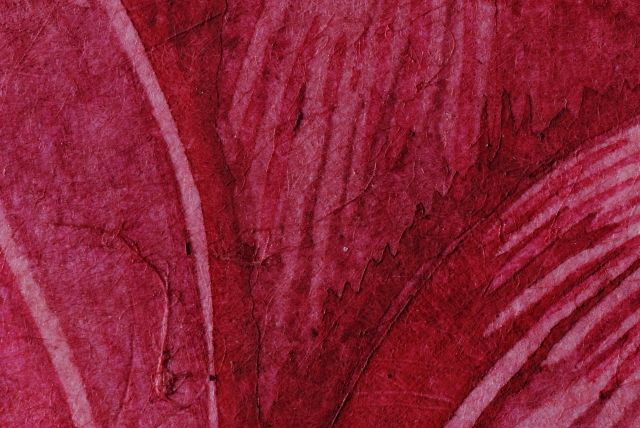 Dahlia Unicornis (Dahlia)