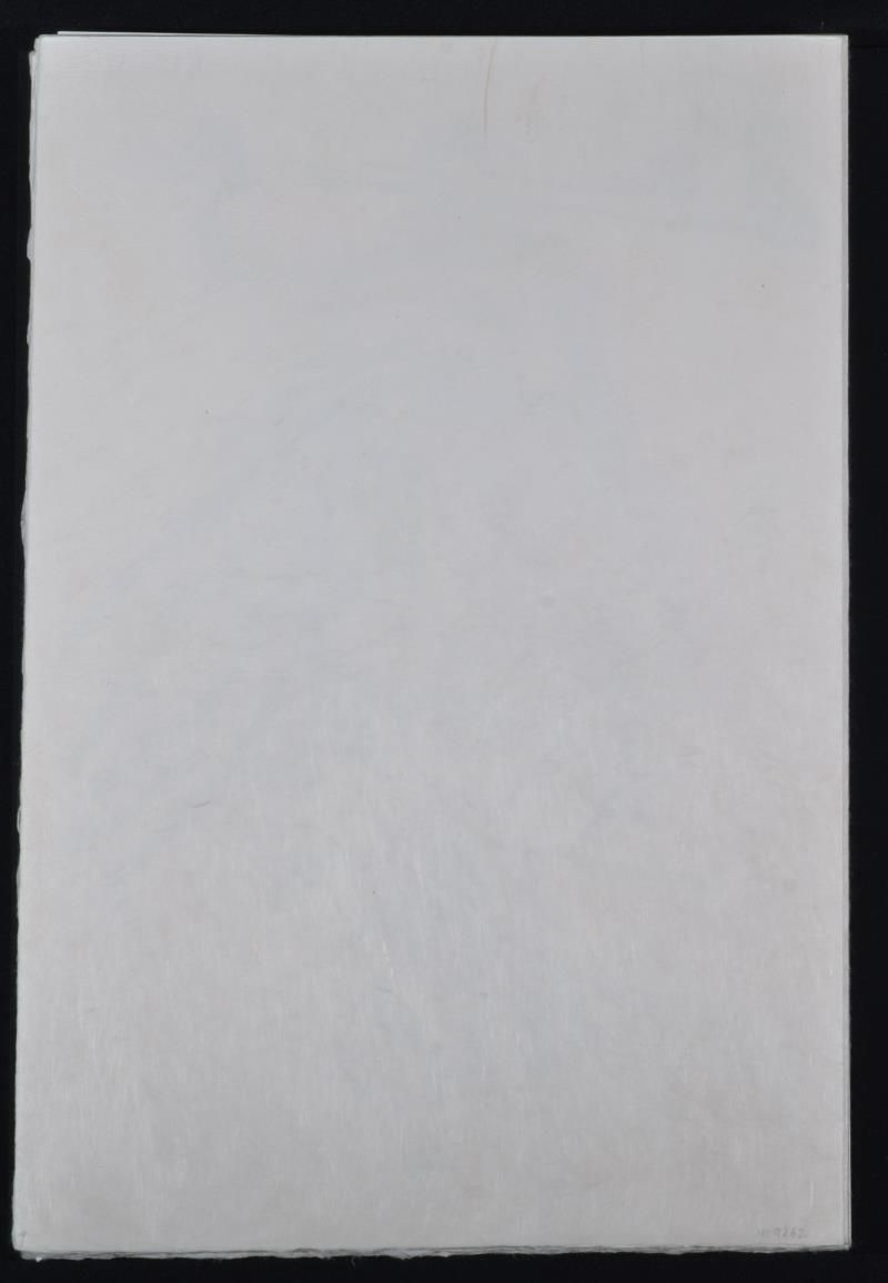 (Suite) Alice's evidence