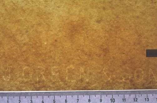 Saint George and the Dragon