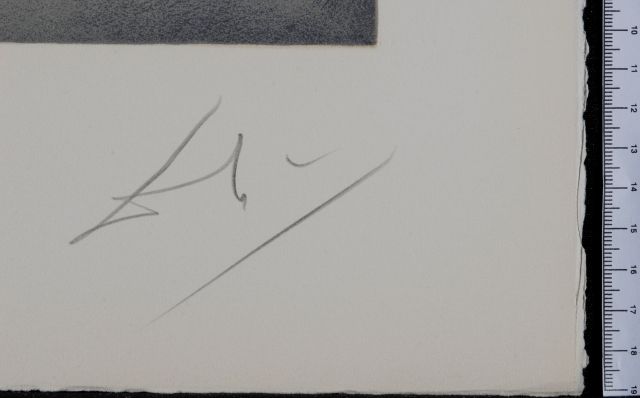 We shall go up at once and possess it