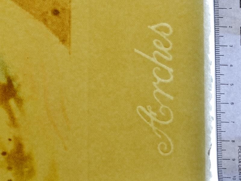 Surrealistic flower girl