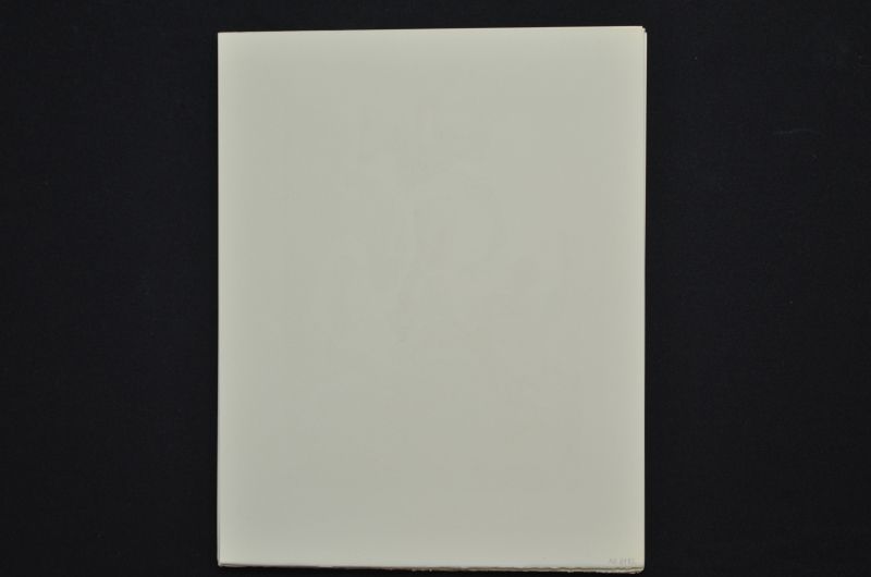 S/T (Le Premier ciel)