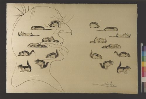 L'homme rescuscité par l'holographie de l'ecureuil