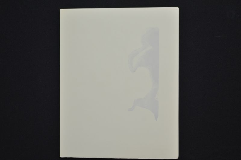 S/T (Le Premier ciel)