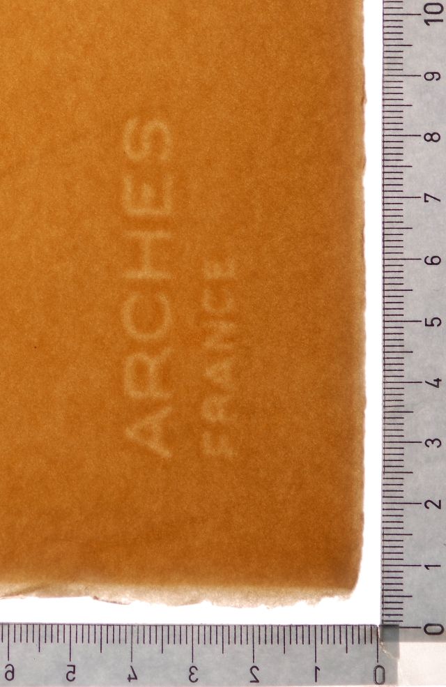 Le cercle viscéral du cosmos