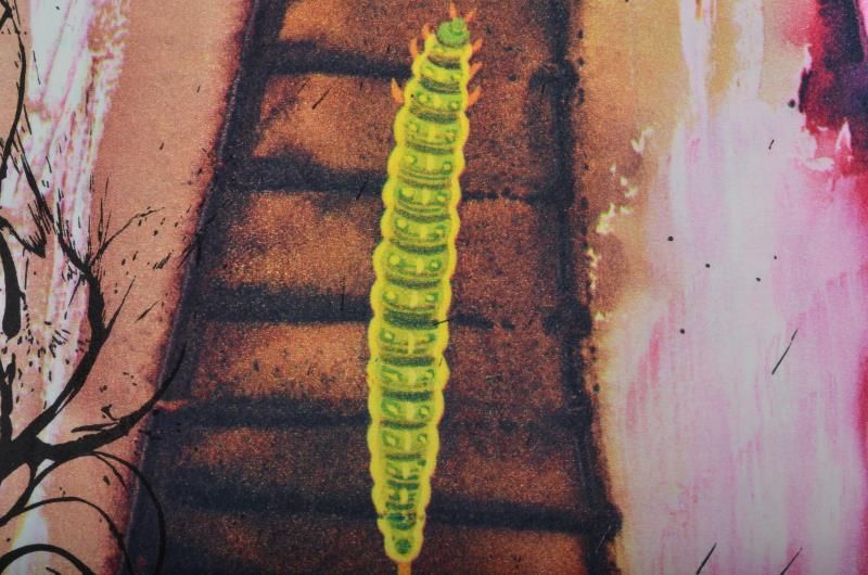 The rabbit sends in a little bill