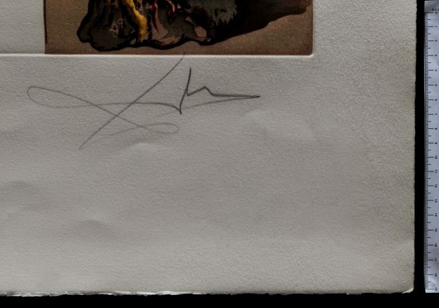 Dali martian muni d'un double microscope holoelectronique