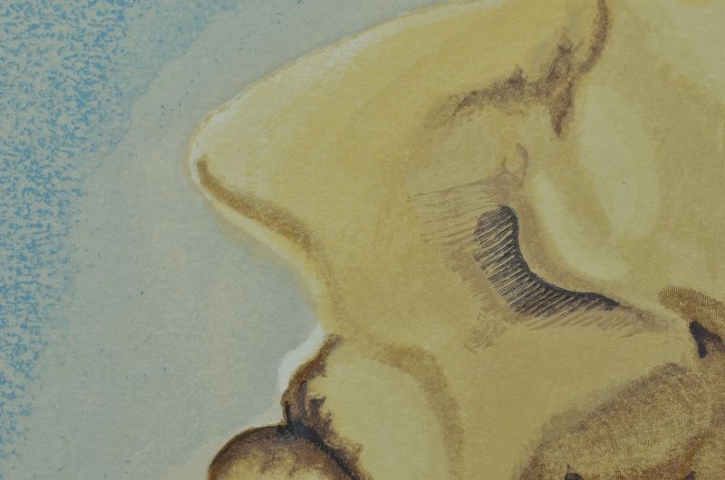 Le nouveau doute de Dante