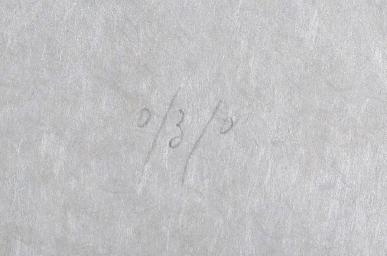 L'homme rescuscité par l'holographie de l'écureuil