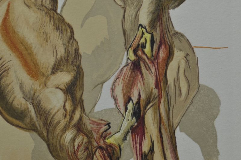 Les Avares et les Prodigues