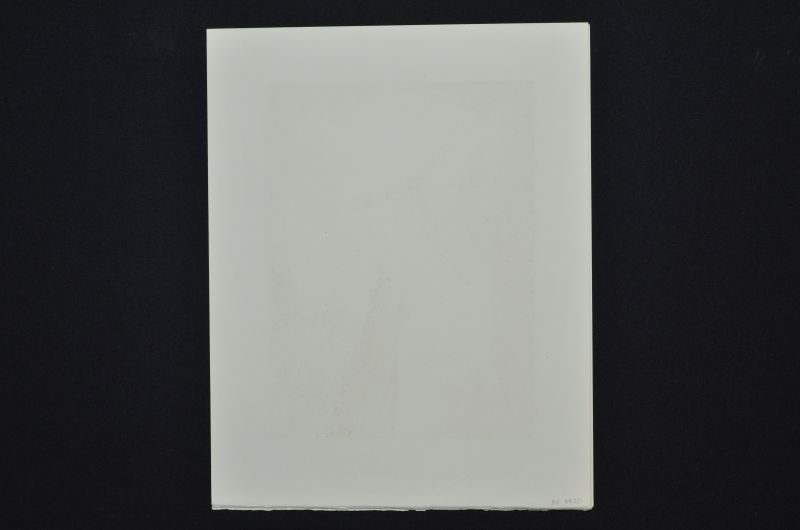 Apparition du Christ