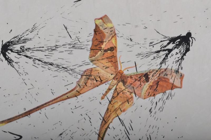 (Suite) The mock turtle's story