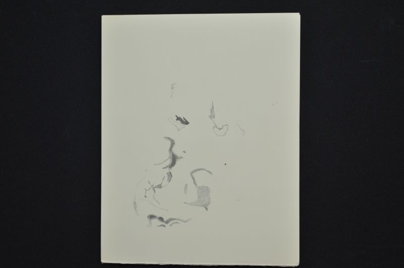 S/T (Le Premier ciel)