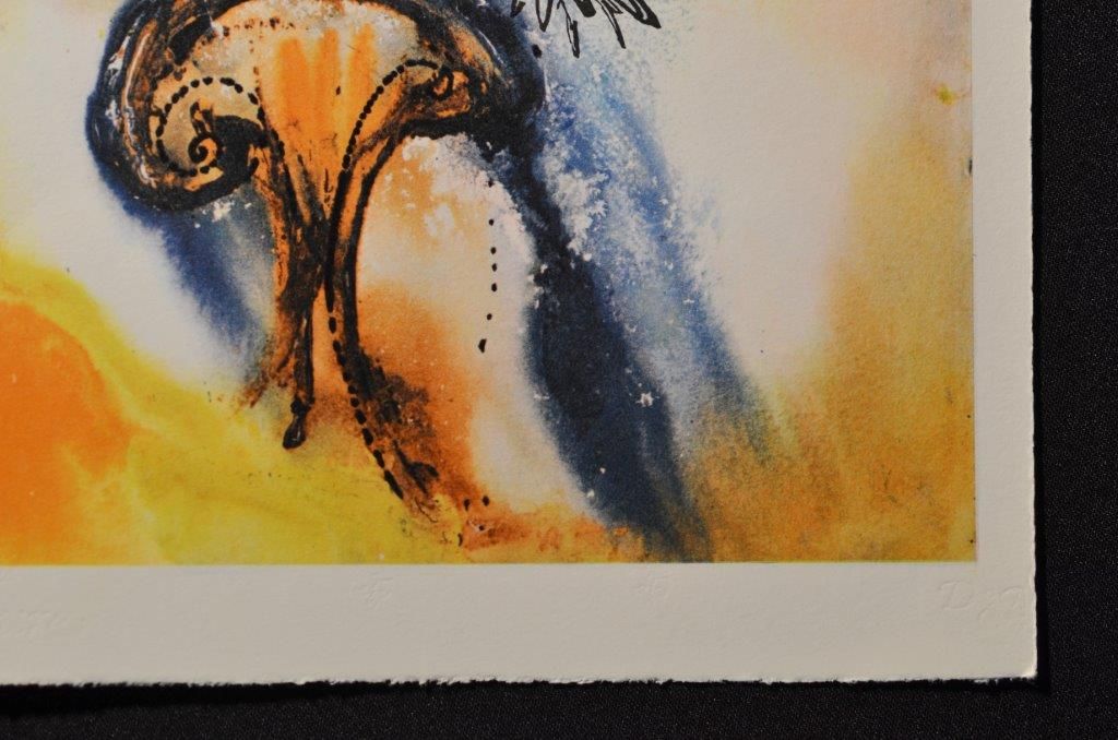 Down the rabbit hole