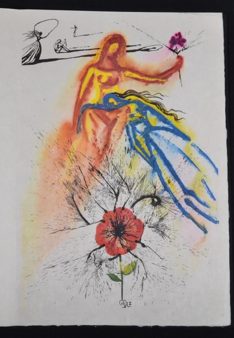 (Suite) Alice's evidence