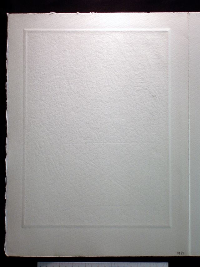 Retrato de las firmas