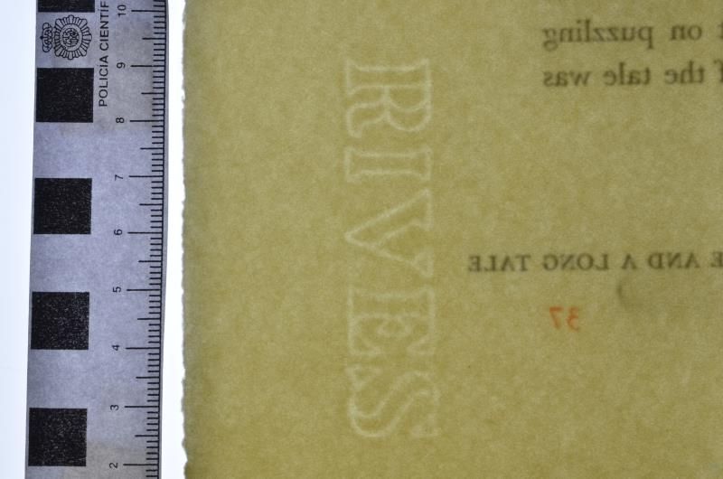 A caucus race and long tale