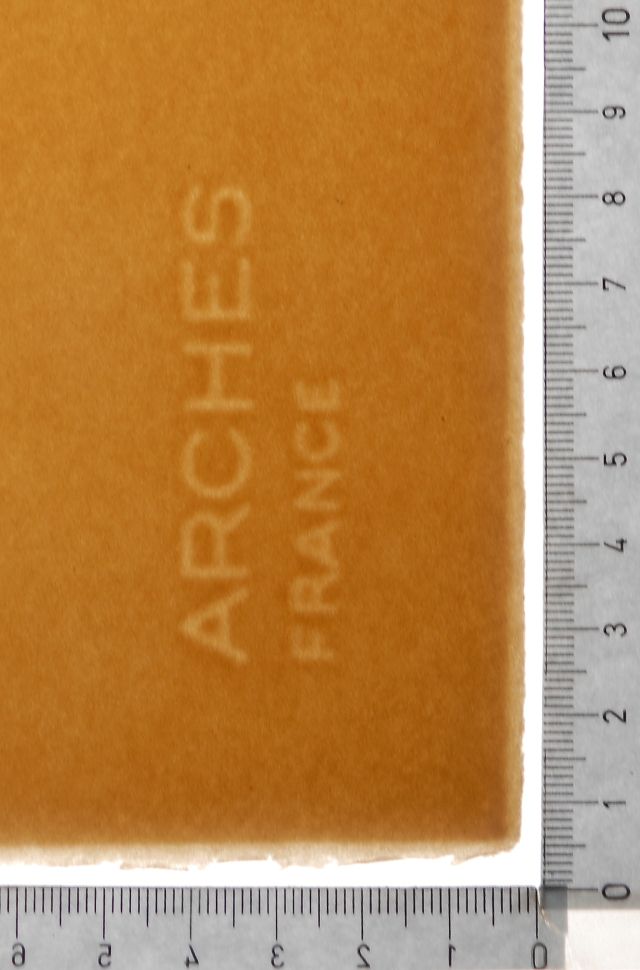 Dali martian muni d'un double microscope holoelectronique