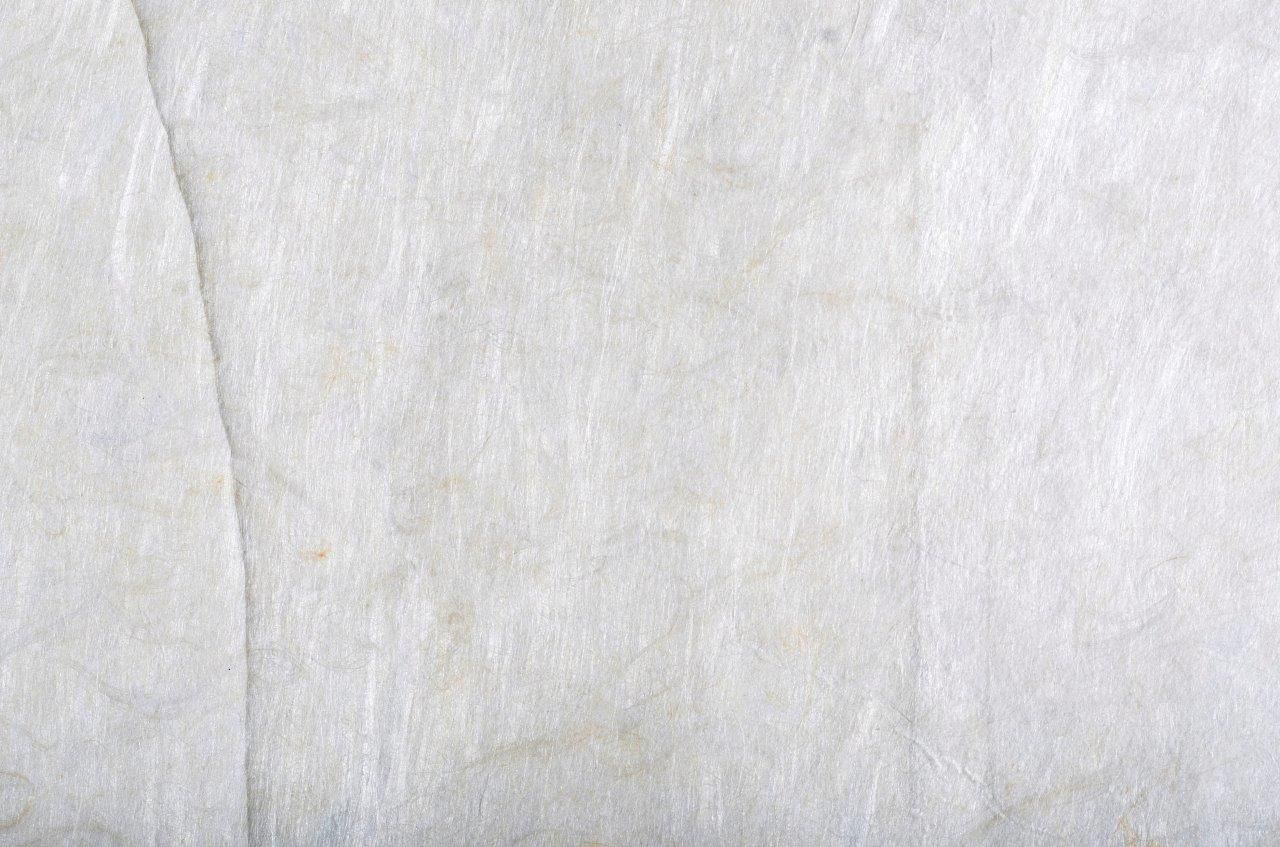 L'homme rescuscité par l'holographie de l'écureuil