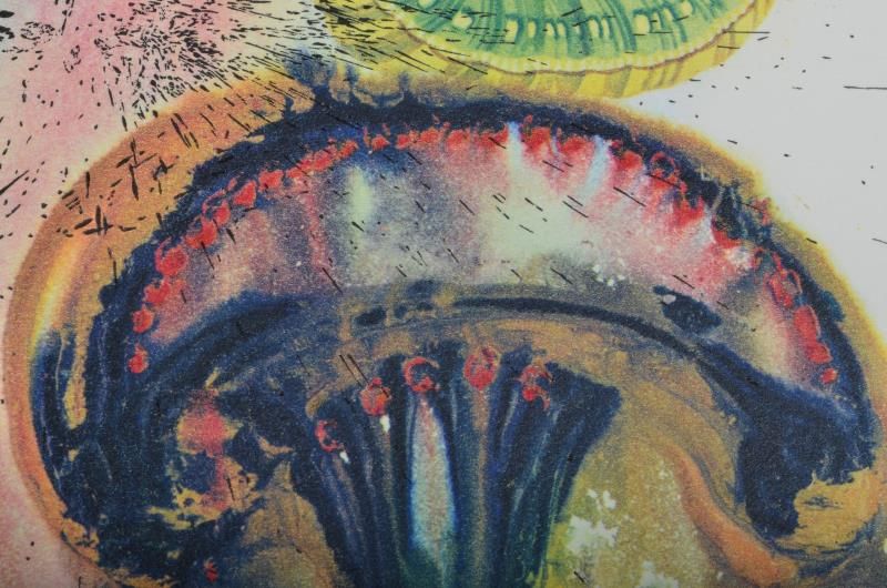 Advice from a caterpillar