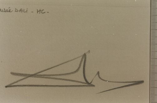 El cisne no está para puñetas