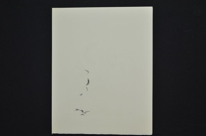 S/T (Le Premier ciel)