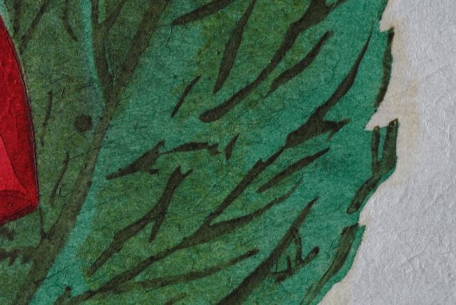 Dahlia Unicornis (Dahlia)